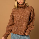 Turtle Neck Oversized Sweater
