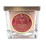 Circle E Birds of Paradise Candle 8oz.