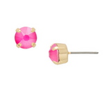 Wild Watermelon Simple Stud Earrings