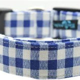 XS Blue Gingham Dog Collar