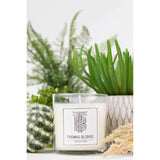 Joshua Tree Candle