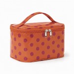 Orange Polka Dot Case