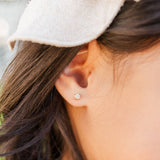 Gold Clear CZ Earrings