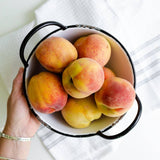 Peach Habanero Jam - 15 oz.