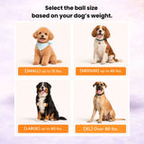 Med. Wunderball Fetch Toy