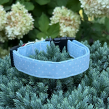 Large Light Blue Polka Dot Limited Edition Dog Collar