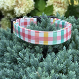 Small Coral and Teal Plaid Limited Edition Dog Collar
