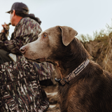 Burlebo Dog Collar – Gauge Camo